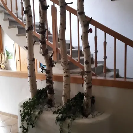 招待所 普拉克色马勒旅馆 3*